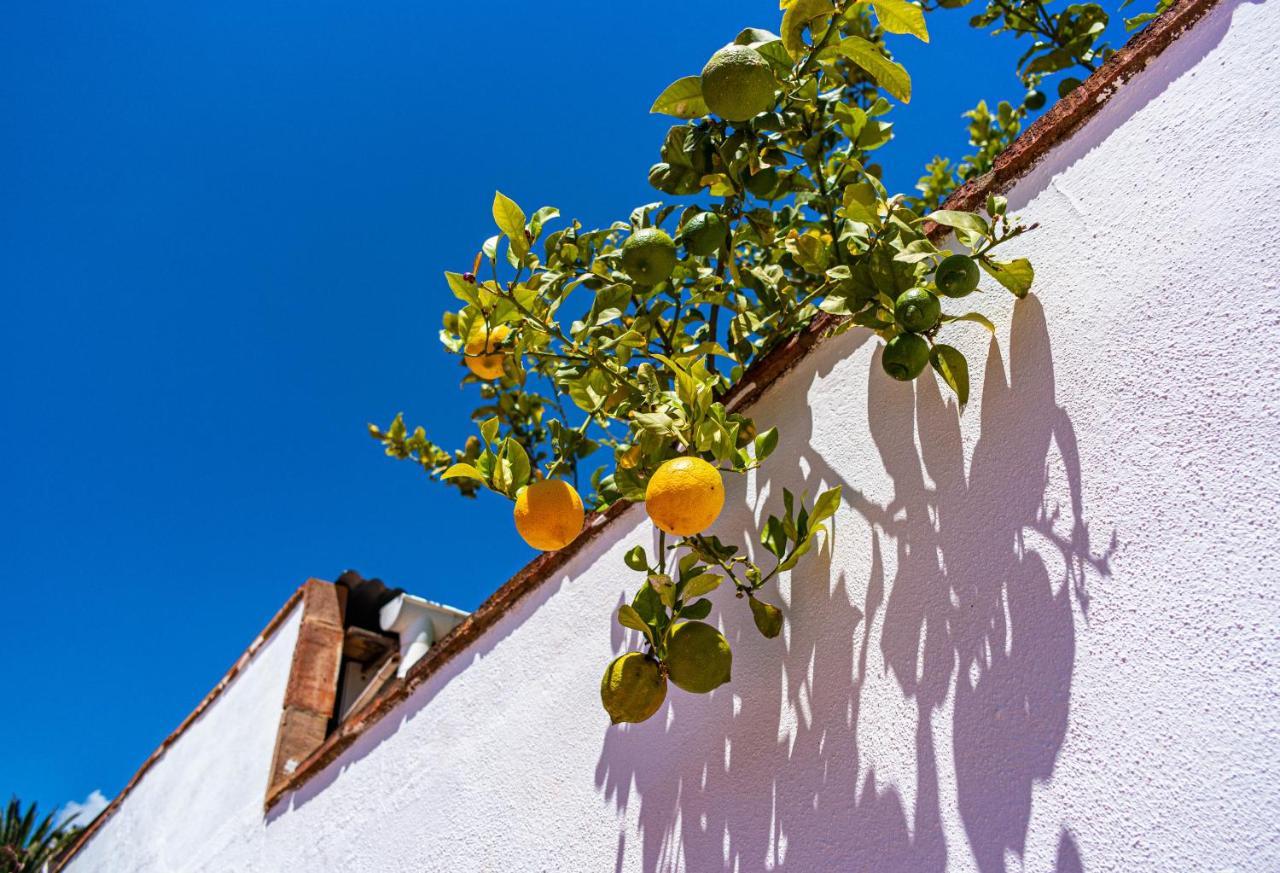 Villa Yanna Benalmadena Luaran gambar